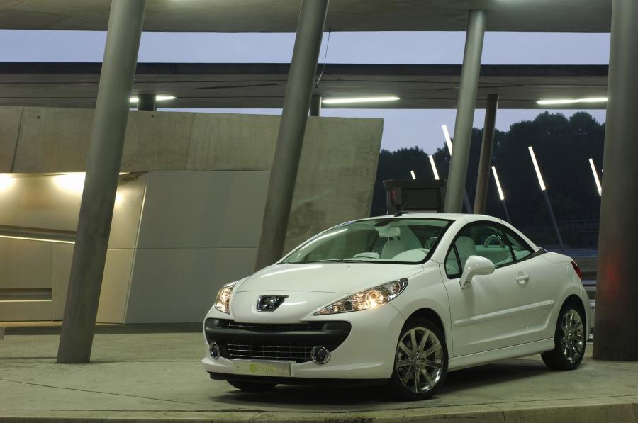  Peugeot 207 Epure 2006 года  (фото 15 из 23)